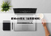 肥城seo優(yōu)化（山東肥城網）