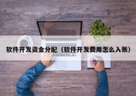 軟件開(kāi)發(fā)資金分配（軟件開(kāi)發(fā)費(fèi)用怎么入賬）