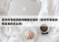 軟件開發(fā)培訓(xùn)機(jī)構(gòu)哪些比較好（軟件開發(fā)培訓(xùn)班出來(lái)的怎么樣）