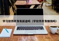 學(xué)習(xí)軟件開(kāi)發(fā)有前途嗎（學(xué)軟件開(kāi)發(fā)賺錢嗎）