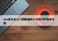 seo優(yōu)化從入門(mén)到精通的十大技巧的簡(jiǎn)單介紹
