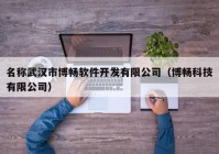 名稱(chēng)武漢市博暢軟件開(kāi)發(fā)有限公司（博暢科技有限公司）
