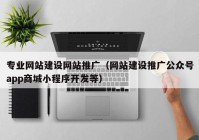 專(zhuān)業(yè)網(wǎng)站建設(shè)網(wǎng)站推廣（網(wǎng)站建設(shè)推廣公眾號(hào)app商城小程序開(kāi)發(fā)等）