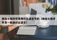 微信小程序開發(fā)用什么語(yǔ)言寫的（微信小程序開發(fā)一般用什么語(yǔ)言）