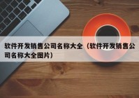軟件開(kāi)發(fā)銷(xiāo)售公司名稱(chēng)大全（軟件開(kāi)發(fā)銷(xiāo)售公司名稱(chēng)大全圖片）