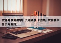 軟件開(kāi)發(fā)需要學(xué)什么賺錢(qián)多（軟件開(kāi)發(fā)需要學(xué)什么專業(yè)好）